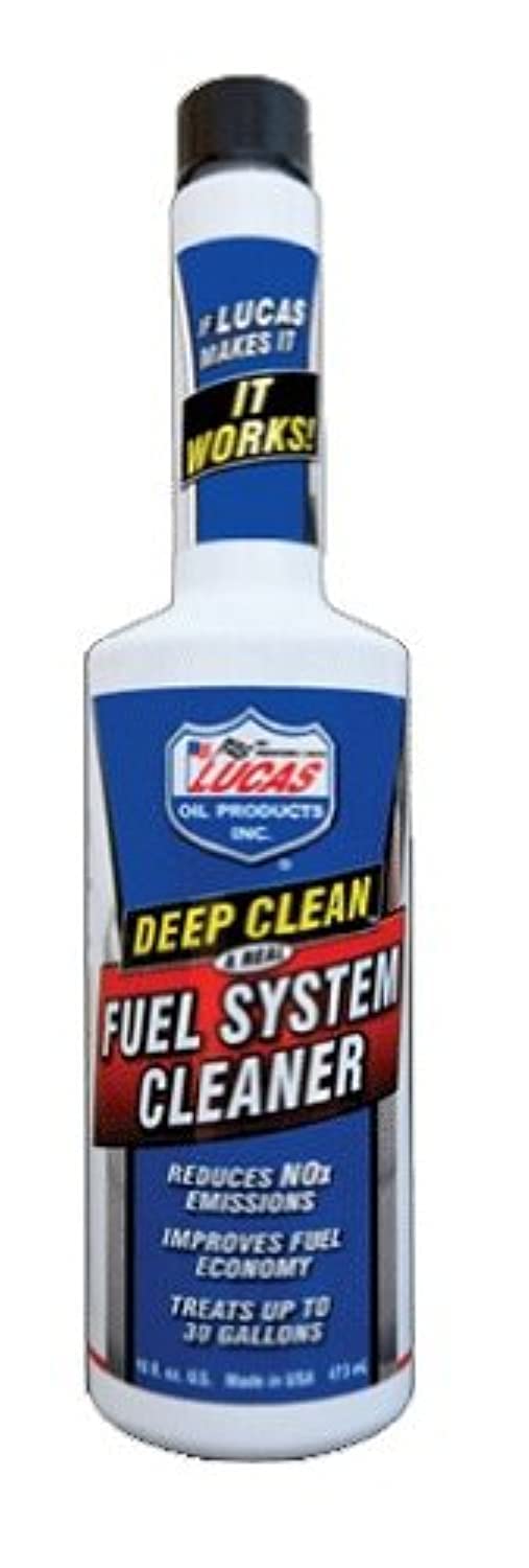16 oz. Fuel System Cleaner Case of 12 V5748