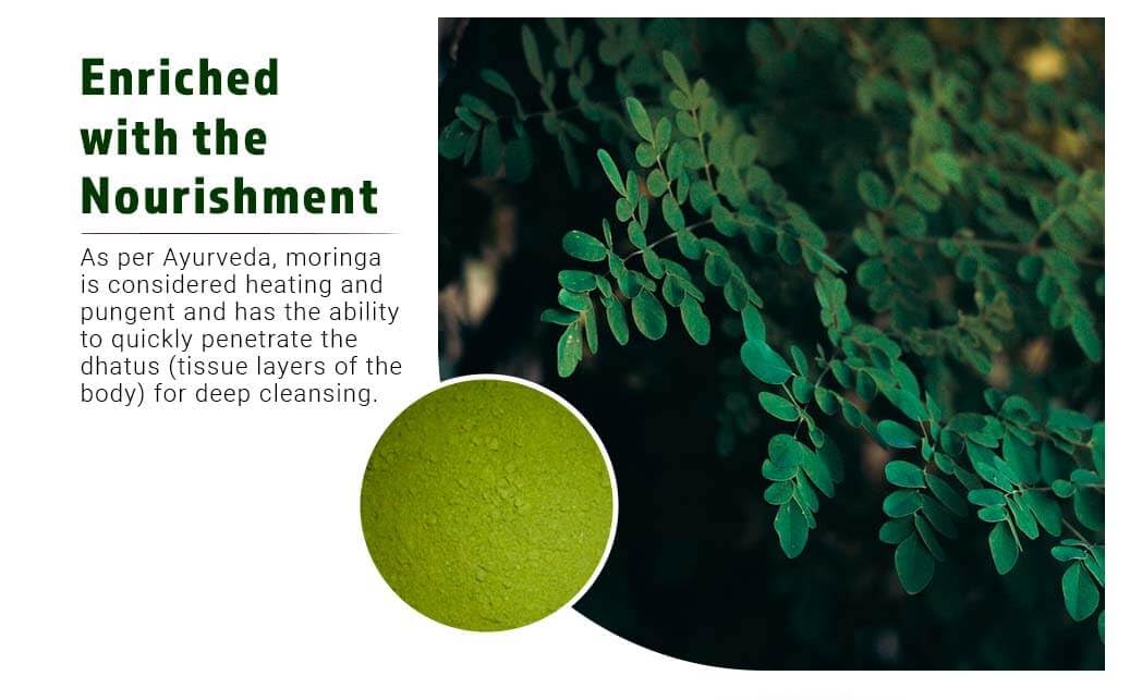 Moringa Leaf Powder Capsules 300 Pills H17110