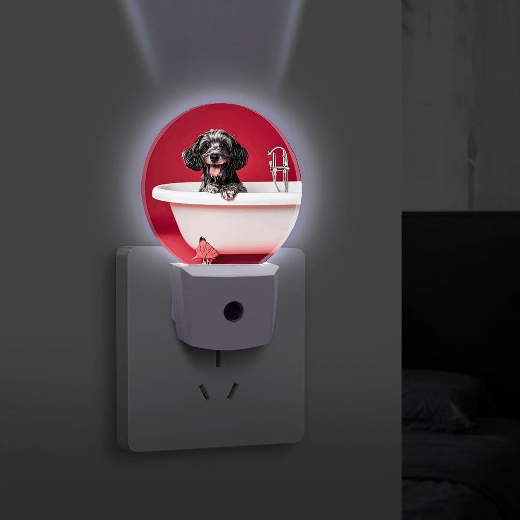 Plug-in Wall Night Light Y80843