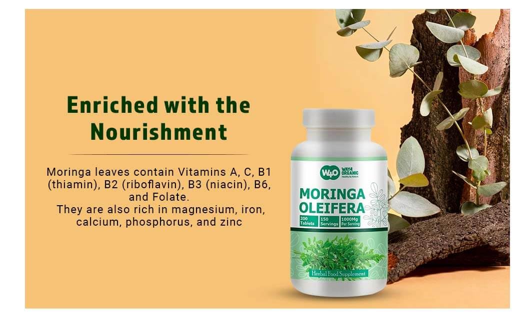 Moringa Leaf Powder Capsules 300 Pills H17110