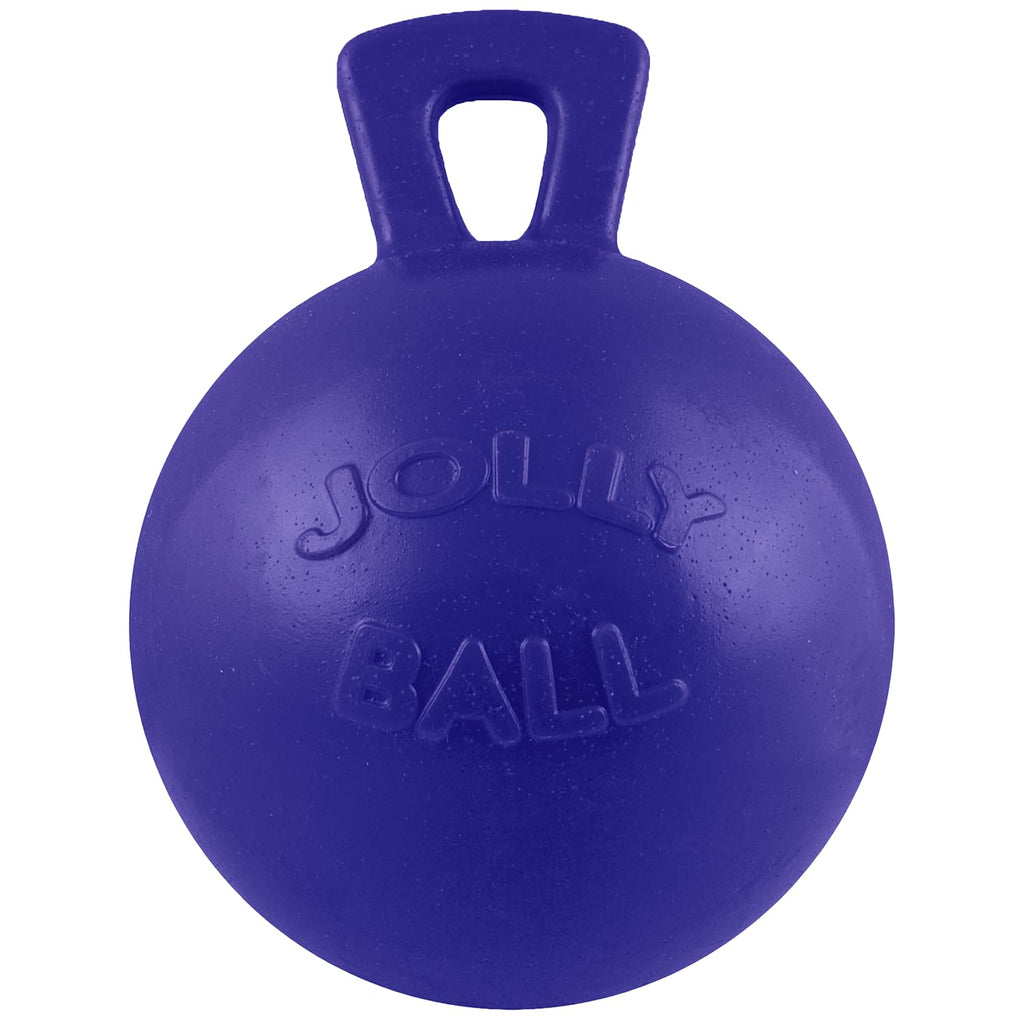 Dog 10-Inch Tug-n-Toss, Blue P346