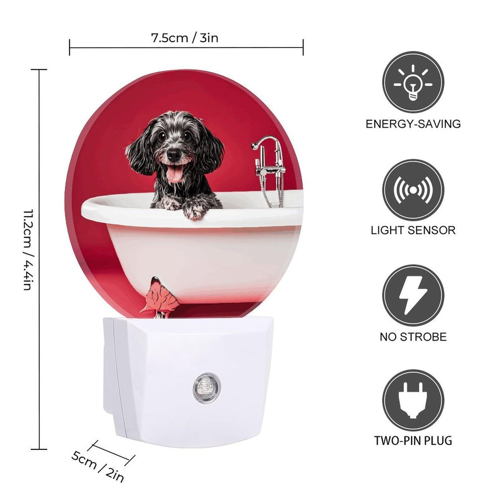 Plug-in Wall Night Light Y80843