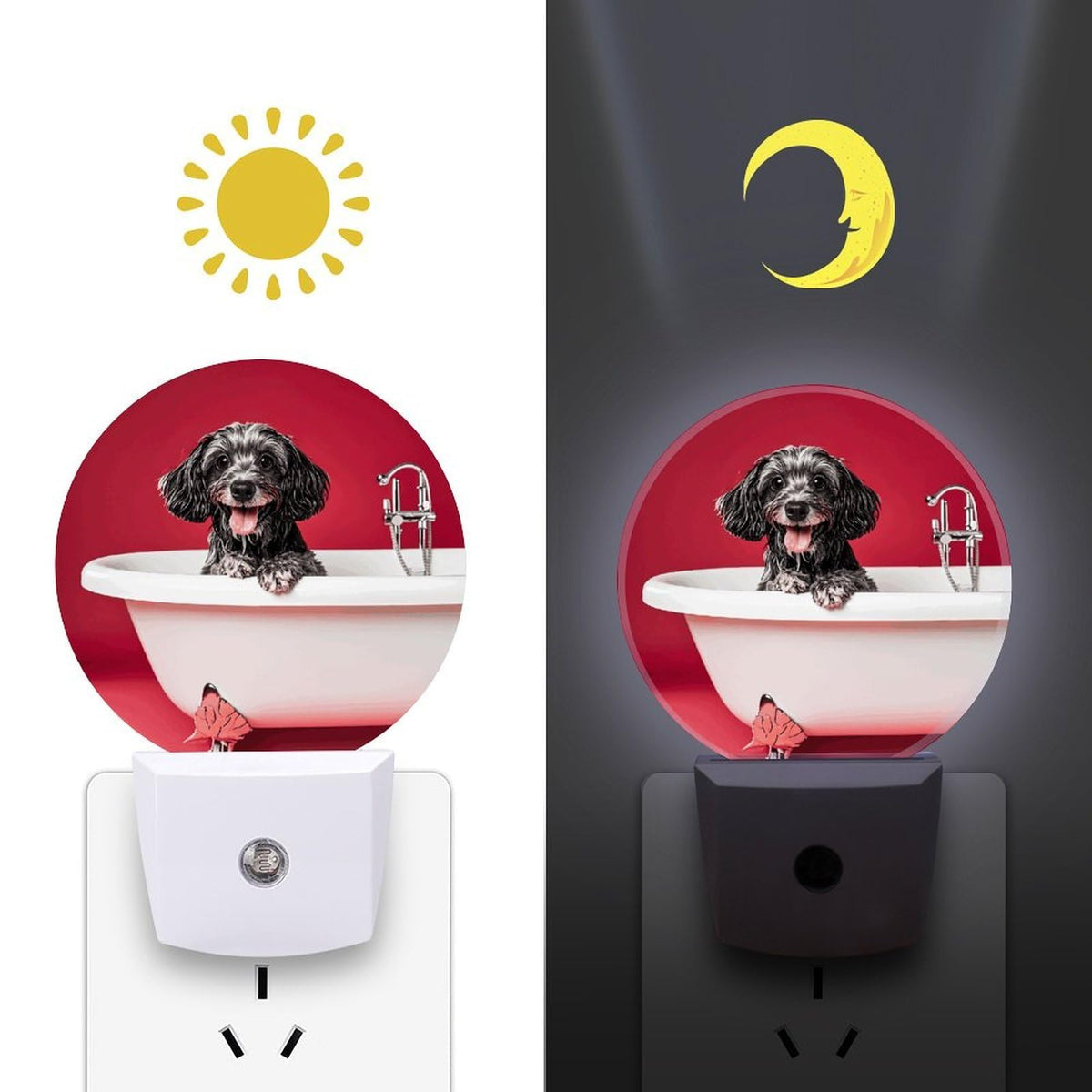 Plug-in Wall Night Light Y80843