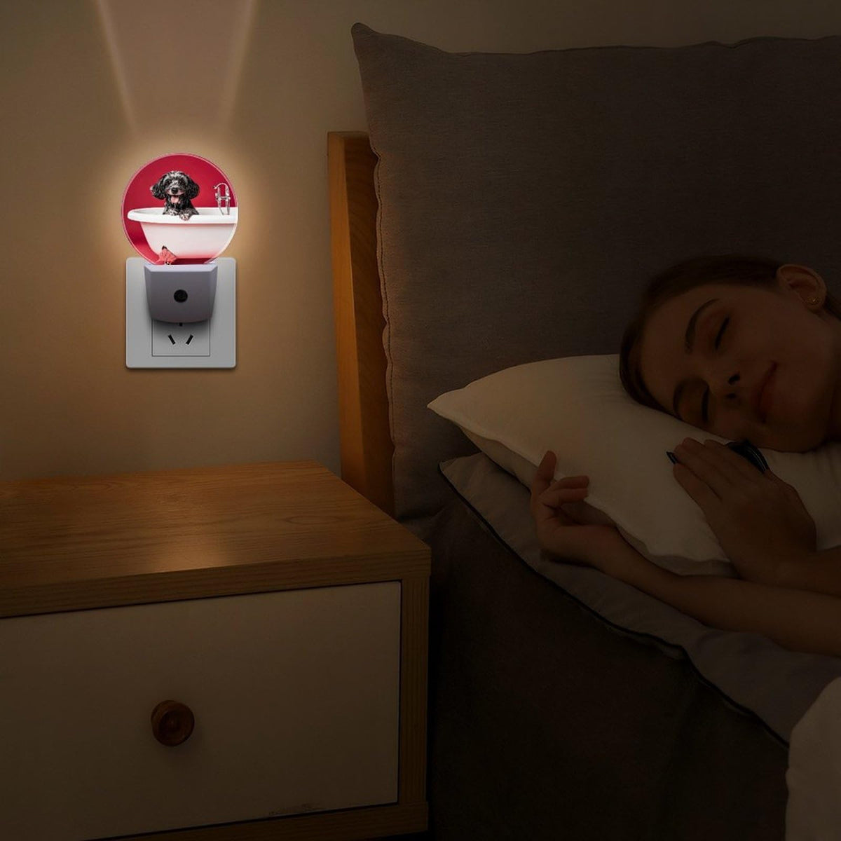 Plug-in Wall Night Light Y80843