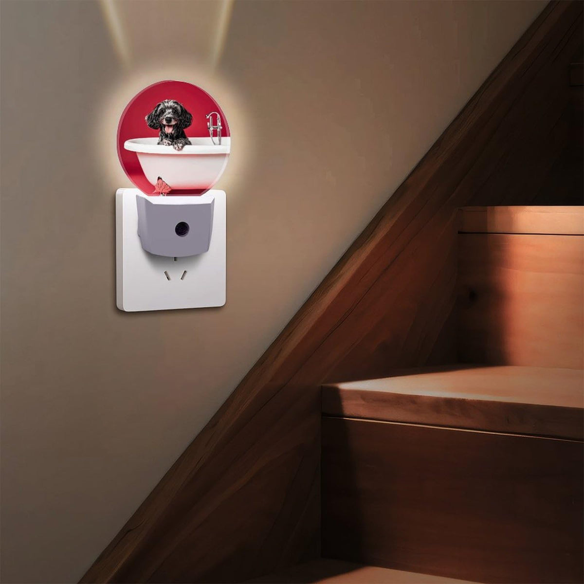 Plug-in Wall Night Light Y80843