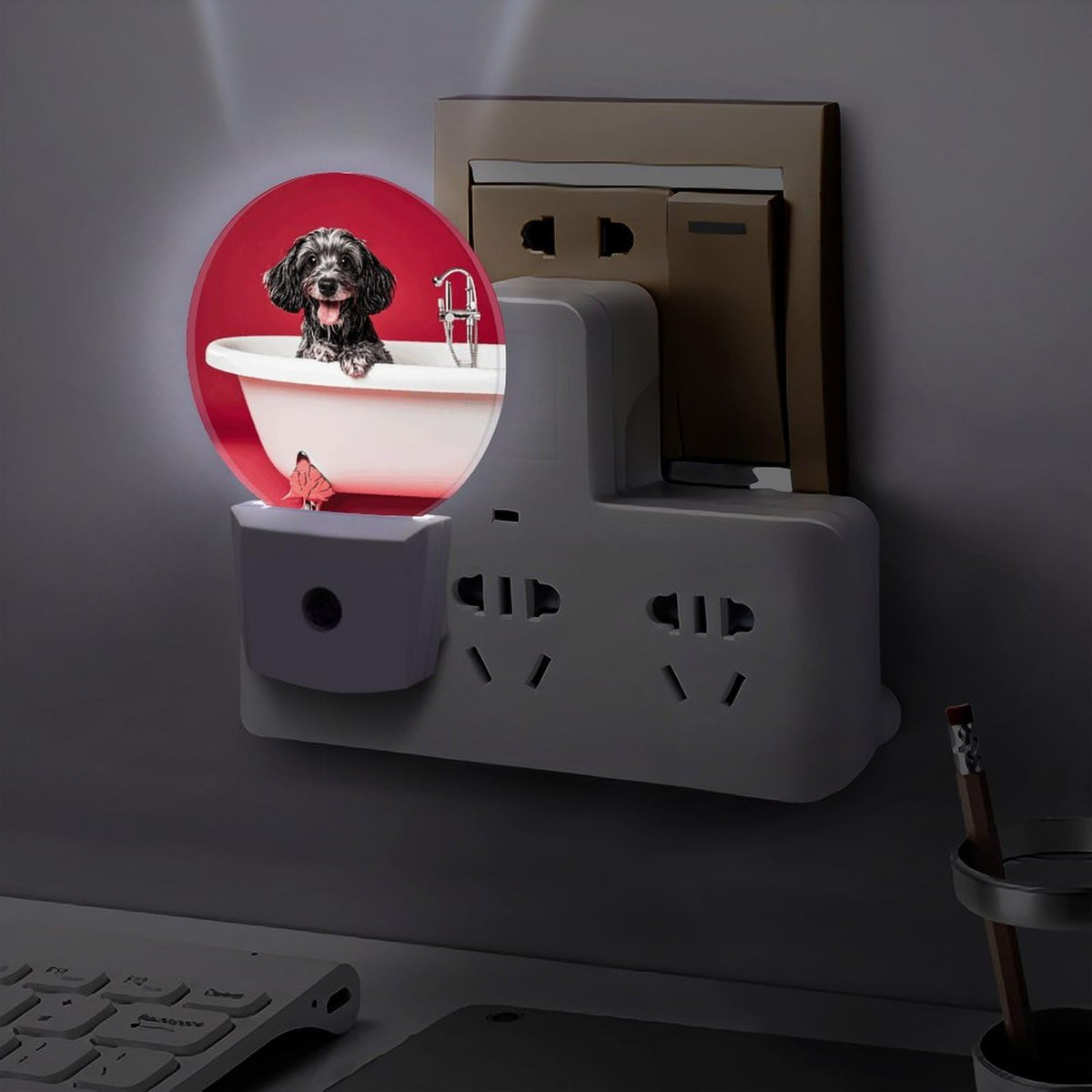 Plug-in Wall Night Light Y80843