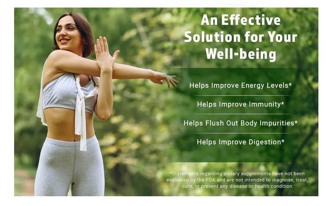 Moringa Leaf Powder Capsules 300 Pills H17110