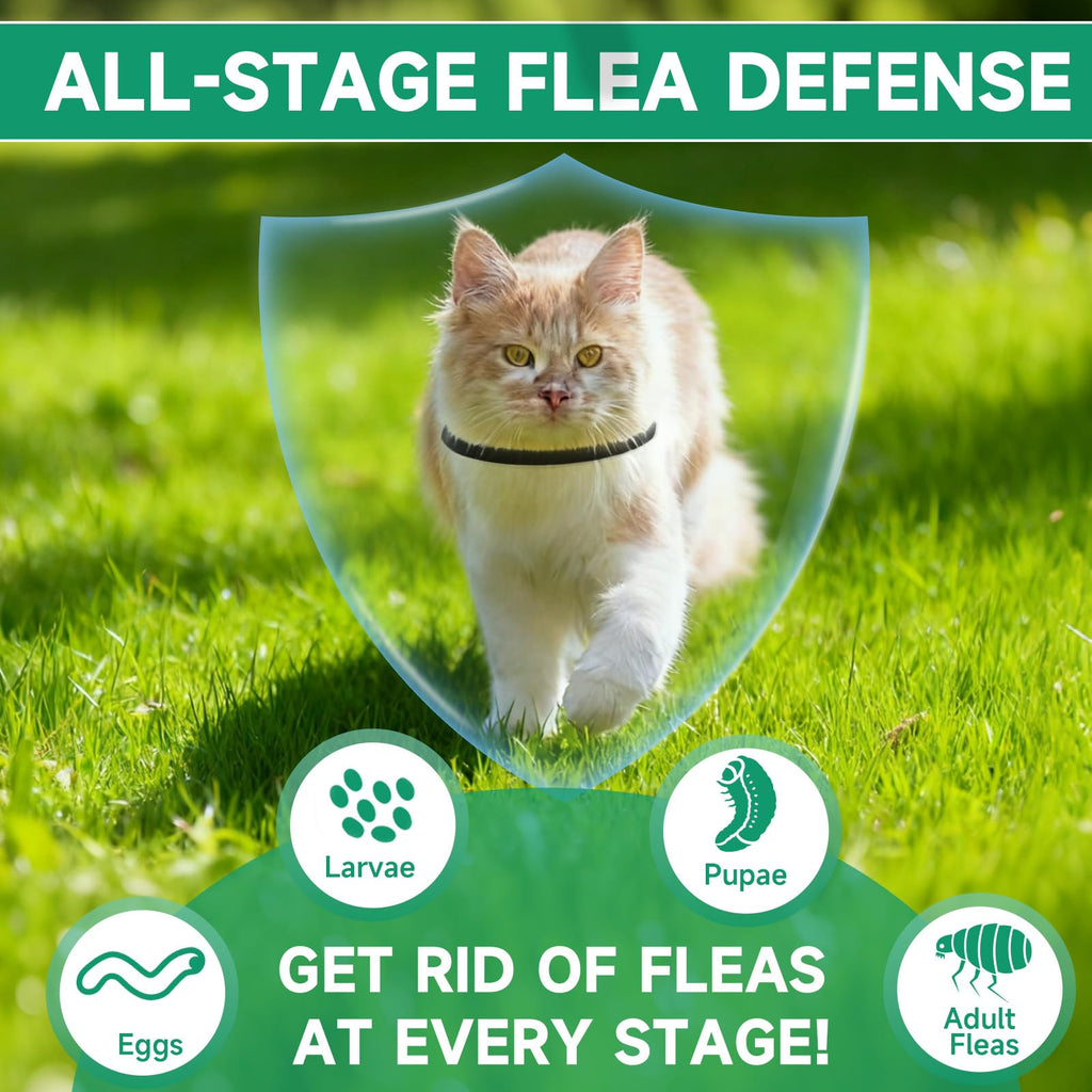 Black 4-Pack Cat Flea and Tick Collar J973