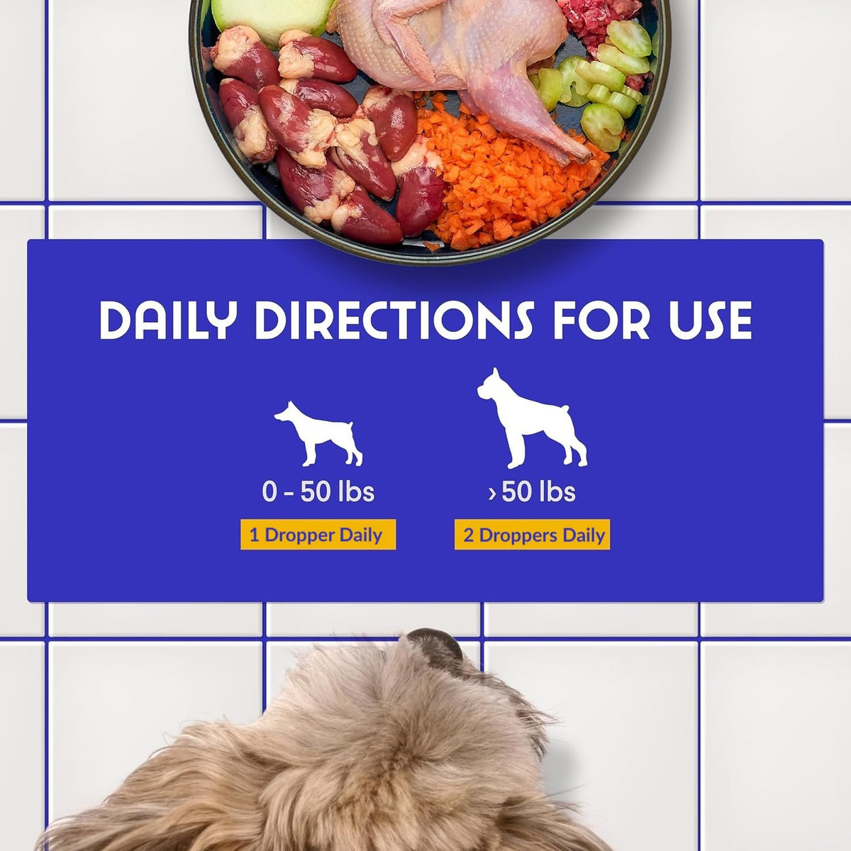 Milk Thistle Liver Support for Dogs with Salmon Oil & Curcumin 2 Oz P8873