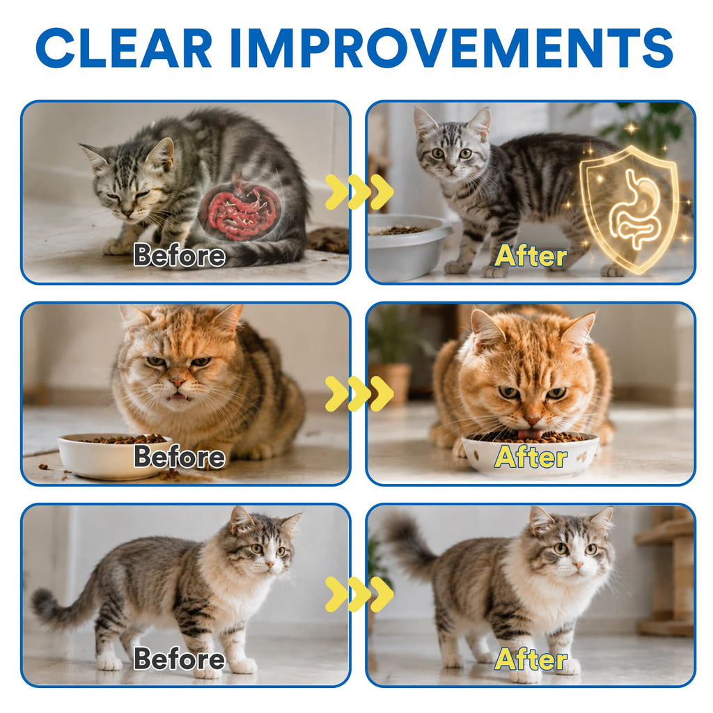 Pyrantel Pamoate Cat Dewormer P170855