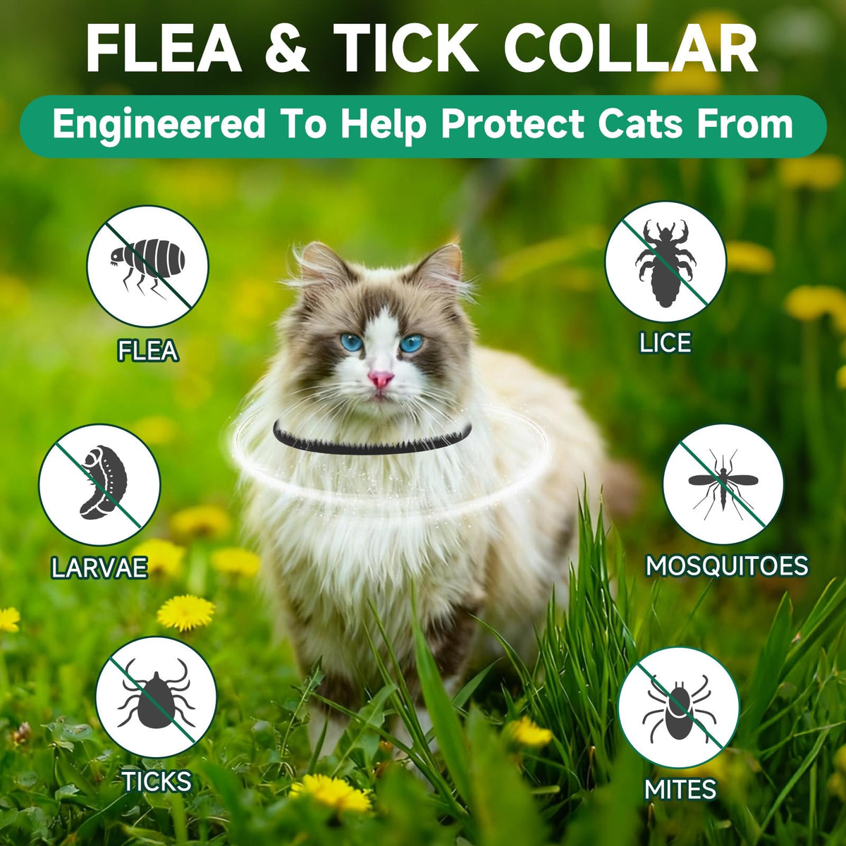 Black 4-Pack Cat Flea and Tick Collar J973
