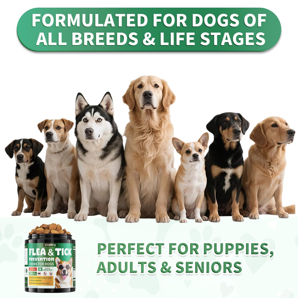 Flea and Tick Prevention for Dogs Chewables H10086