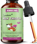 Milk Thistle Liver Support for Dogs with Salmon Oil & Curcumin 2 Oz P8873