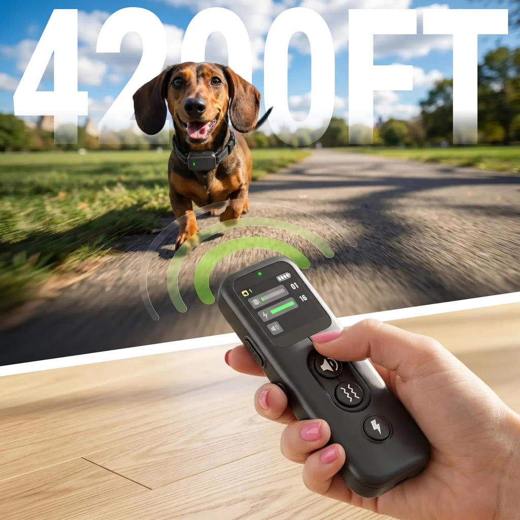 Ultra-Small IPX8 Dog Training Collar with Beep & Vibration & Shock I198