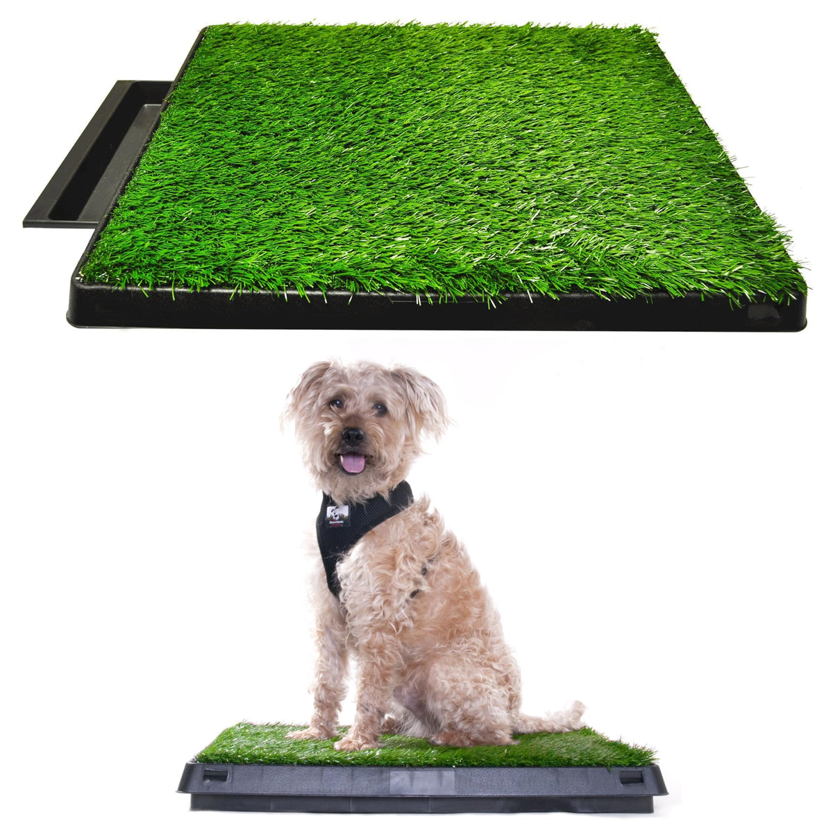 Dog Grass Pad with Tray 20 x 25 with Drawer N8996