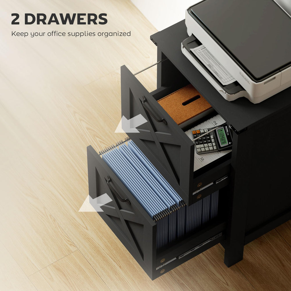 2 Drawer Vertical File Cabinet N717