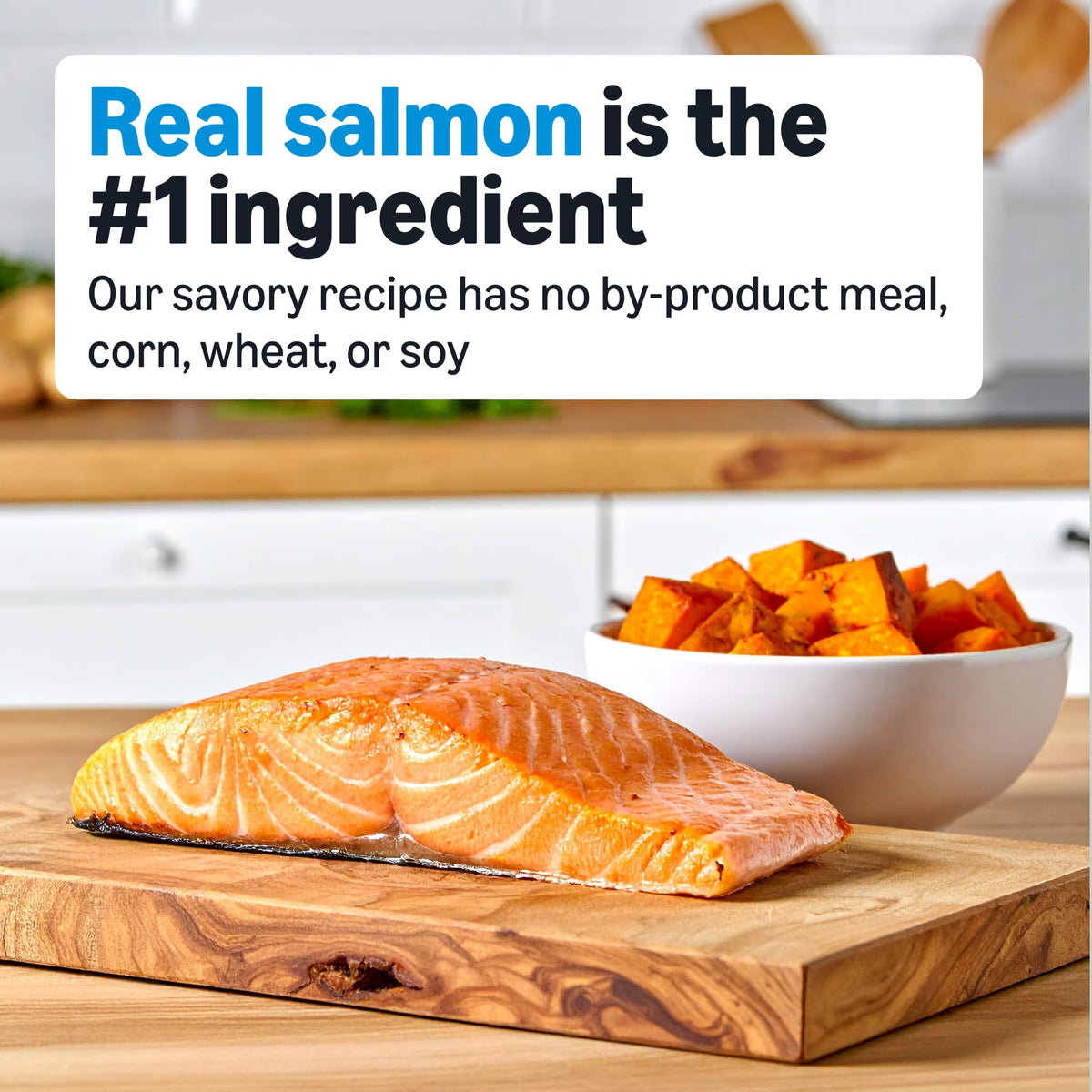 Grain Free Salmon & Sweet Potato Dry Dog Food 24 lb Bag L362242