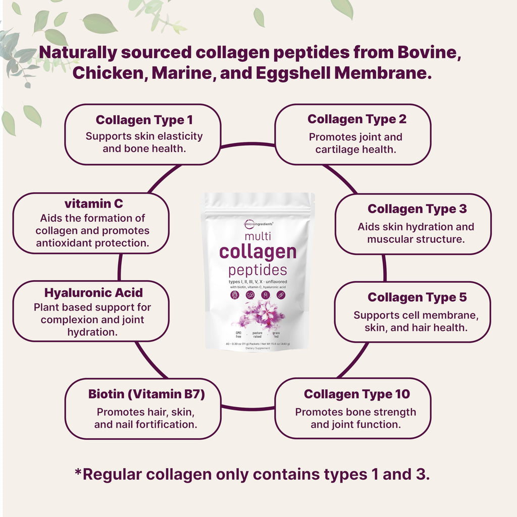 Multi Collagen Peptides Powder, 40 Stick Packs, Type I, II, III, V, X P14016