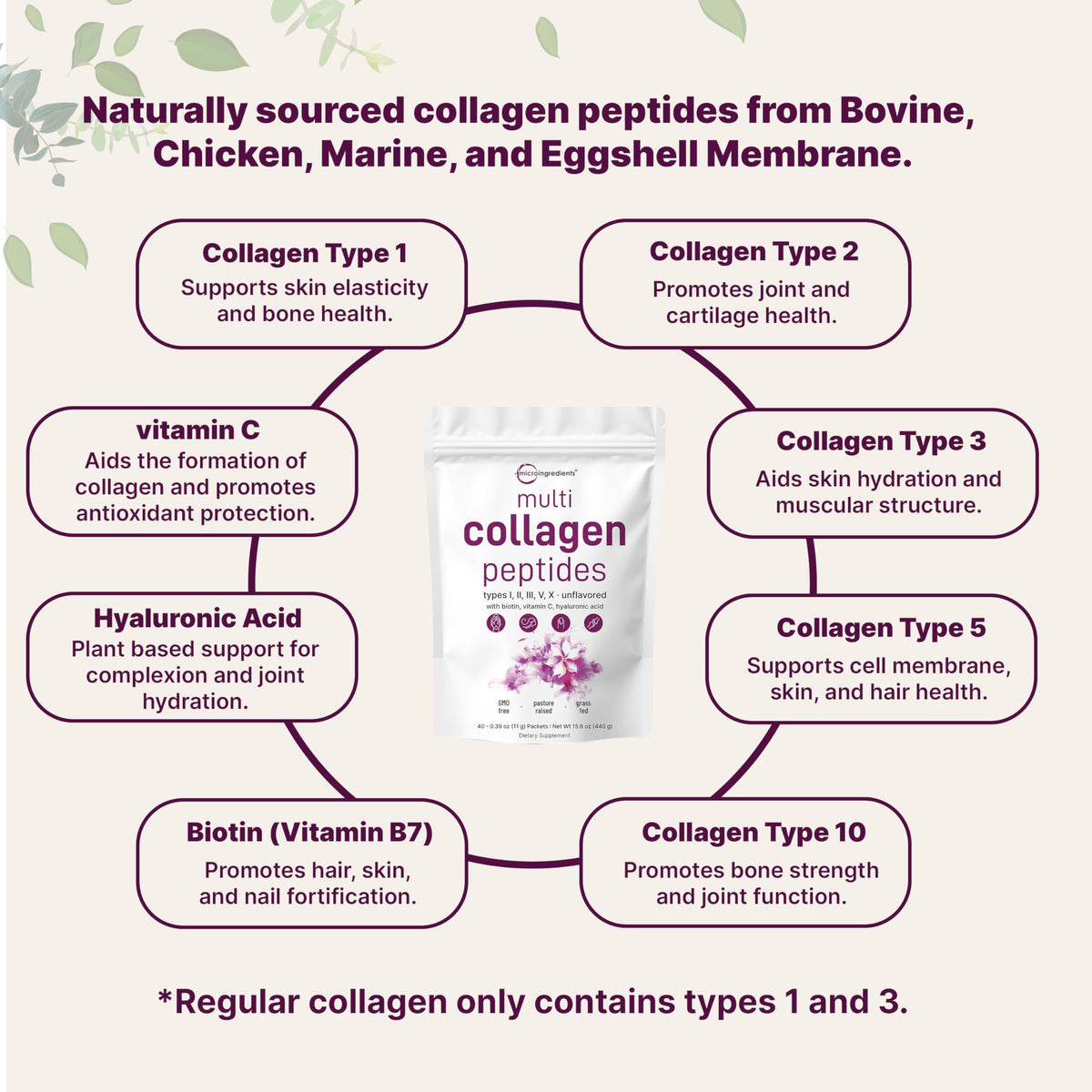 Multi Collagen Peptides Powder, 40 Stick Packs, Type I, II, III, V, X P14016