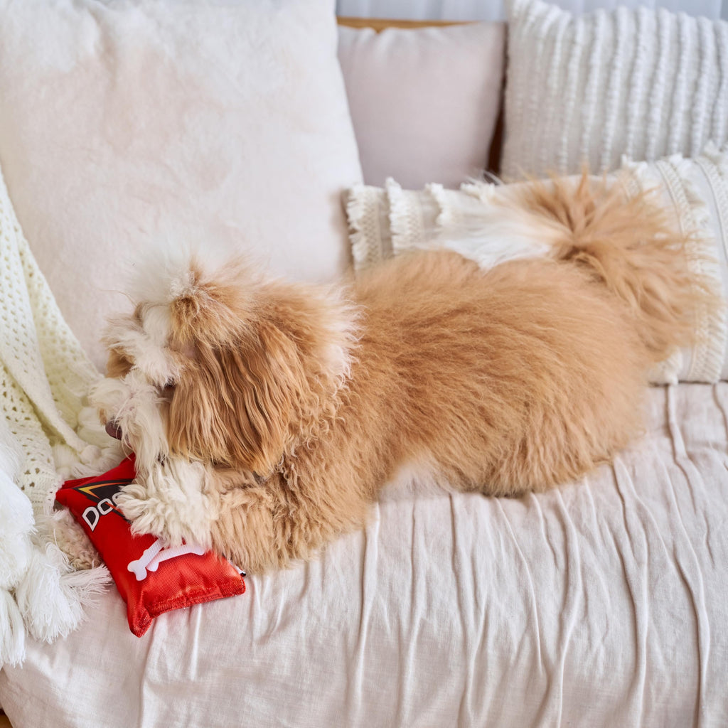 Plush Squeaker Toy for Small and Medium Dogs Q96354