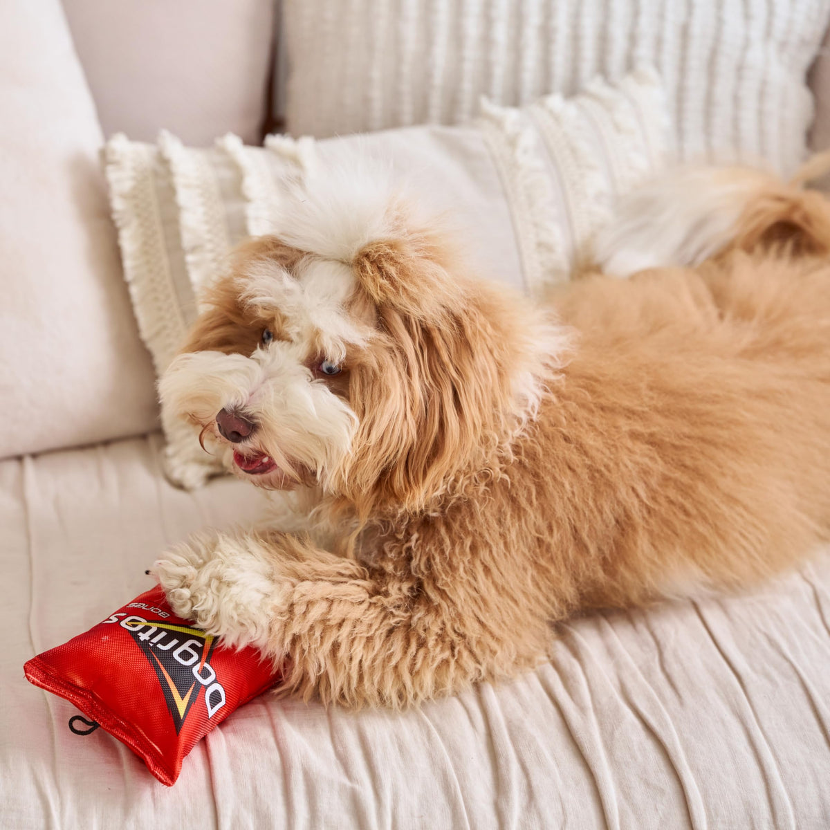 Plush Squeaker Toy for Small and Medium Dogs Q96354