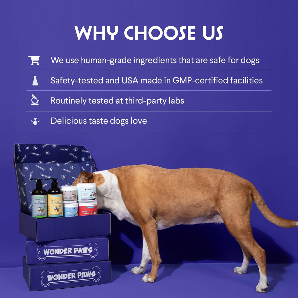 Milk Thistle Liver Support for Dogs with Salmon Oil & Curcumin 2 Oz P8873