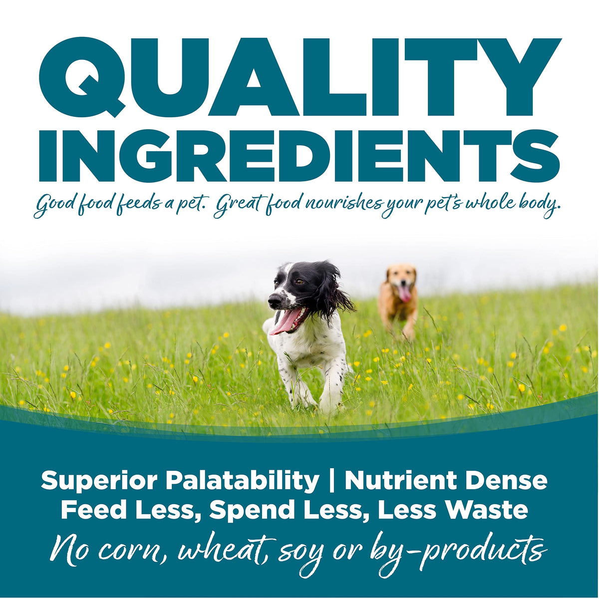 Chicken & Rice Dog Food 26lb Z324373