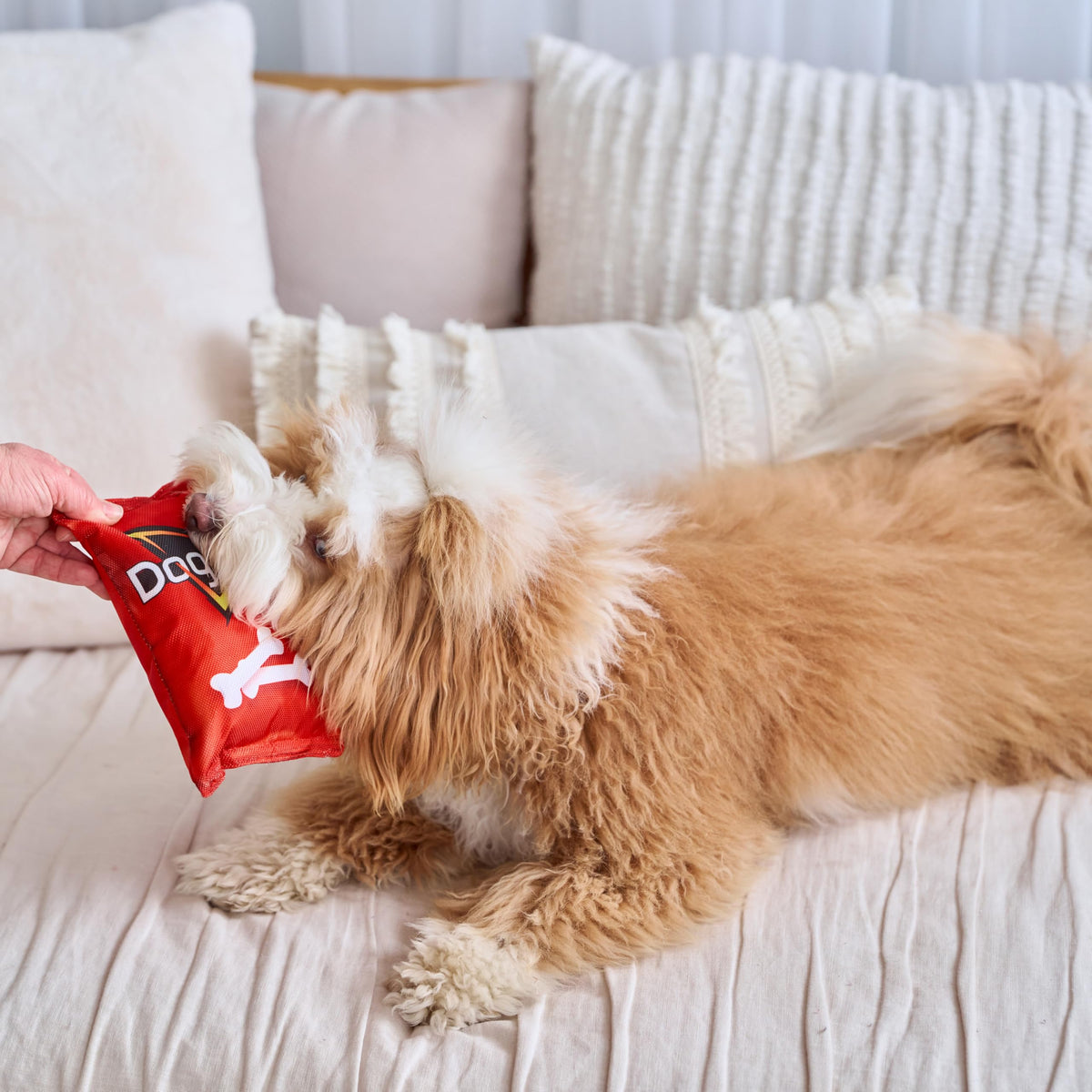 Plush Squeaker Toy for Small and Medium Dogs Q96354