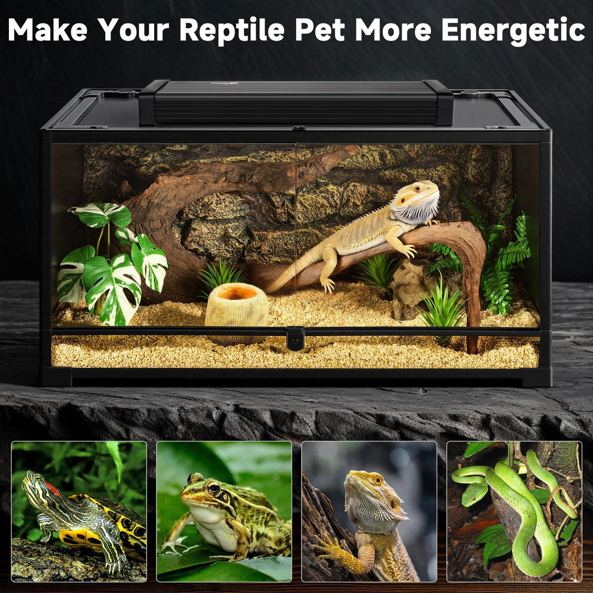 8W UVB Reptile Light Fixture Kit H716