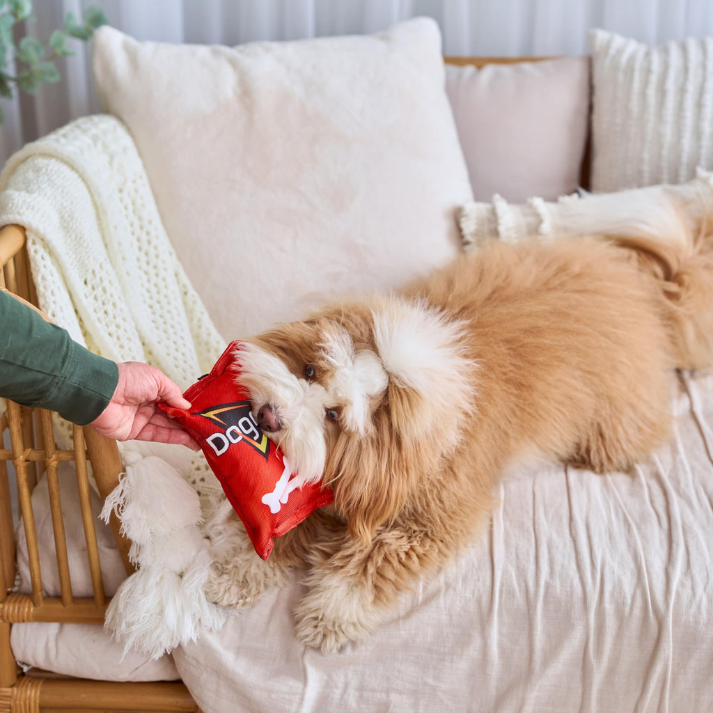 Plush Squeaker Toy for Small and Medium Dogs Q96354