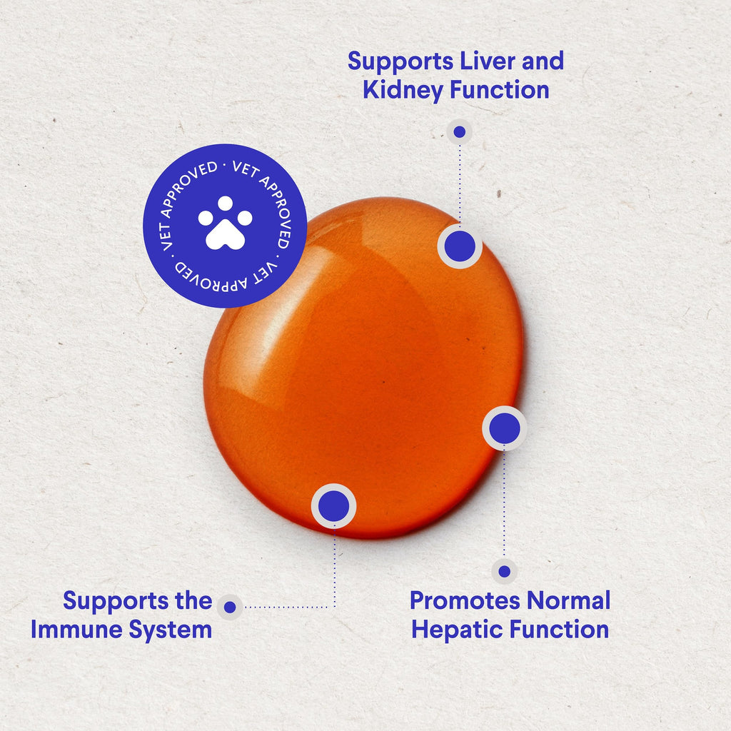 Milk Thistle Liver Support for Dogs with Salmon Oil & Curcumin 2 Oz P8873